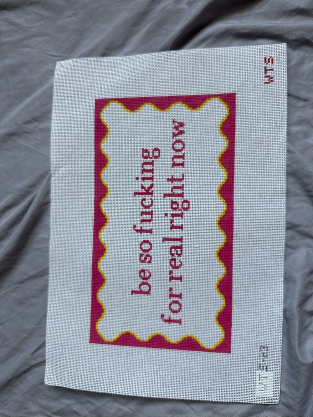 What’s the Stitch "Be So Fckg For Real Right Now" Needlepoint Canvas Crafts